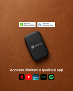 Dashly Pro™
